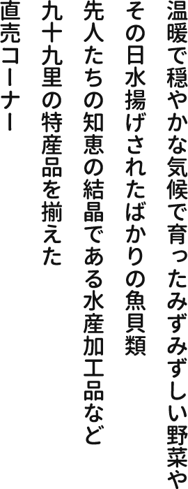 温暖で穏やかな気候で育ったみずみずしい野菜やその日水揚げされたばかりの魚貝類先人たちの知恵の結晶である水産加工品など九十九里の特産品を揃えた直売コーナー